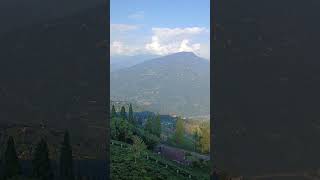 teagarden timitarku southsikkim youtubeshorts [upl. by Ahsienak932]