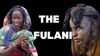 The FulaniFulbe People  The Most Mysterious Tribe in Africa [upl. by Durston]