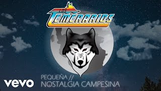 Los Temerarios  Nostalgia Campesina Animated Video [upl. by Eednim]