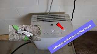 Dehumidifier Not Draining From Hose [upl. by Ettenawtna581]