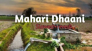 Mahari Dhaani main slowed reverb  Haryanvi song160K [upl. by Smada112]