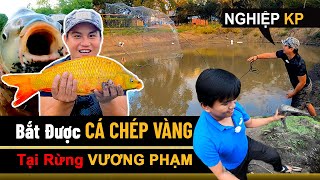 Bắt Được Cá Chép VÀNG Tại Rừng Của Vương Phạm  Nghiệp KP [upl. by Vona]