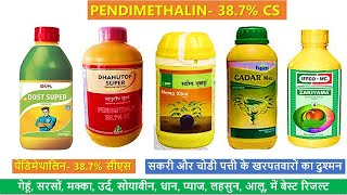 Pendimethalin 387 CS use in Hindi  Broad Spectrum Herbicide [upl. by Asserat2]