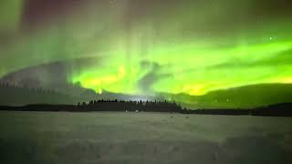 The Best Northern Lights in Fairbanks Alaska [upl. by Akihdar]