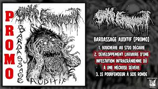 Cystic Embalmment  Bardassage Auditif Promo FULL EP 2024  Goregrind [upl. by Houghton840]