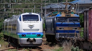 E653系H202編成 上沼垂色 エンブレム付き いなほ3号 間島通過 [upl. by Garrick735]