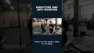 Adductors and AntiRotation [upl. by Yanad]