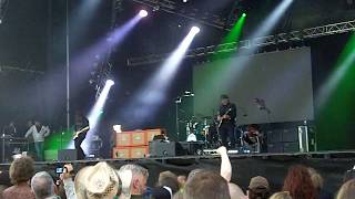 Primus  Wynonas Big Brown Beaver Live  SRF 2017 [upl. by Nelehyram115]