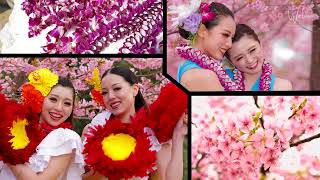 【PV】Welina Hula＆Polinesian Dancers [upl. by Neerak]