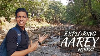 Exploring Aarey Forest Mumbai with Charcoal Studios  Vlog  imran16 [upl. by Chambers]