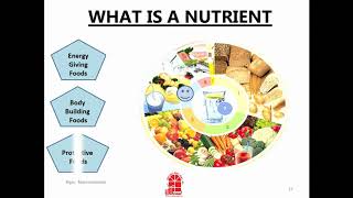 Video Lecture SemI Nutrition PART 1 [upl. by Deena3]