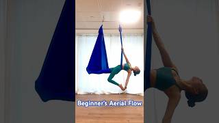 Aerial Yoga flow for beginners part1 aerial aerialyoga aerialyogaflow aerialyogaforbeginners [upl. by Finlay12]