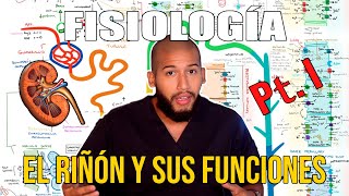 Fisiología Renal Pt 1  Anatomía Funcional del Riñón Funciones Nefrona Irrigación [upl. by Louisette]