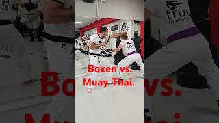 👉 Boxen vs Muay Thai ✅️ Vom Weltmeister Kickboxen Selbstverteidigung [upl. by Nywra780]