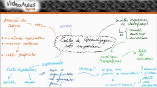 Estilos de aprendizagem NÃO TE AJUDAM a aprender melhor [upl. by Ran]