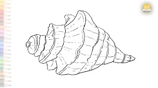 Murex Seashell drawing easy  Marine life sketches  How to draw Murex Seashell step by step simply [upl. by Oneida]