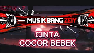 Cinta Cocor Bebek  MBZ Musik Bang Zeiy [upl. by Lezti456]