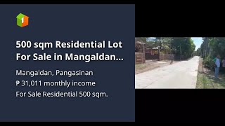 500 sqm Residential Lot For Sale in Mangaldan Pangasinan [upl. by Honorine214]