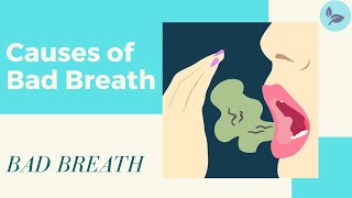 Easiest Way To Get Rid Of Bad Breath According To A Dentist [upl. by Jeanette889]