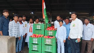 SOLAPUR DALIMB BAZAR  🧡🤍💚  बाझार बघा कसा आहे  🧡🤍💚 [upl. by Russom]