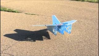 Bigger Slow Delta RC First Flight [upl. by Trebled]