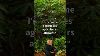 Le secret du manioc agriculture [upl. by Silverstein21]