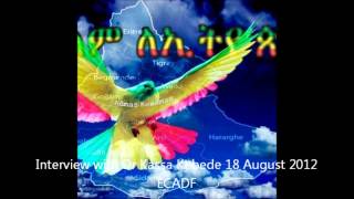 Interview with Dr Kassa Kebede 18 August 2012 [upl. by Ardiedal]