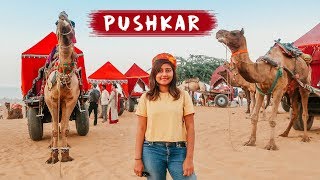 EXPLORING PUSHKAR  Pushkar Camel Fair 🐪  Things to do in Pushkar Rajasthan  Kritika Goel [upl. by Rosene]