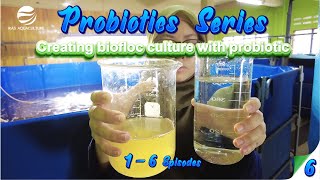 Creating Biofloc With Probiotic  Probiotic series Episode 06 [upl. by Trembly27]