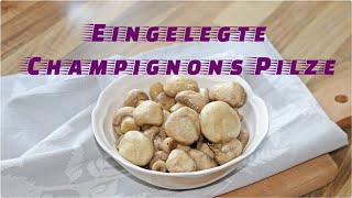 Champignons  Blitz Rezept für eingelegte Pilze  Schnell gesund und super lecker [upl. by Carew]