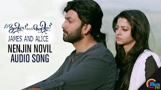 Nenjin Novil Audio Song  James and Alice Prithviraj Sukumaran Vedhika Gopi Sundar  Official [upl. by Alien]