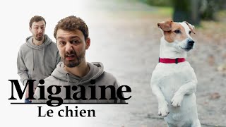 Migraine de Roman Frayssinet  Le chien  Clique à 20h25 en clair sur CANAL [upl. by Anayi243]