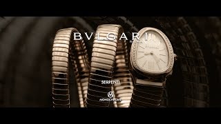 Bulgari Serpenti  The Story Behind One of the Most Iconic Ladies Watches Ever [upl. by Crow]