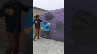 Smallest Vs Biggest Kite Catch amp Flying With Thread [upl. by Aarika830]