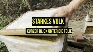 Starkes Volk  Kurzer Blick unter die Folie [upl. by Piks]