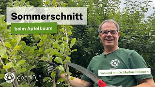 Sommerschnitt beim Apfelbaum Obstbäume durch Schnitt klein halten 4 wichtige Tipps [upl. by Nahn204]