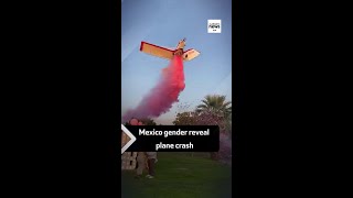 Gender reveal PLANE CRASH 😱 [upl. by Bohman]