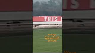 Daniel Wyse Greyhound Training CORK CITY Ireland 330 71024 [upl. by Nahsyar]