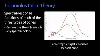 Tristimulus Color Theory [upl. by Ora]