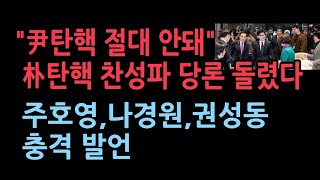 내일 윤대통령 탄핵 표결 박근혜 탄핵 찬성파가 당론 돌렸다 주호영 나경원 권성동 유영하의 충격 발언 [upl. by Xer]