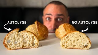 Autolyse vs No Autolyse Sourdough Experiment [upl. by Worl113]