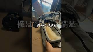 【激安】わんちゃんのおすすめベビーカーを紹介します。犬用ベビーカー 7キロポメラニアン [upl. by Roane]