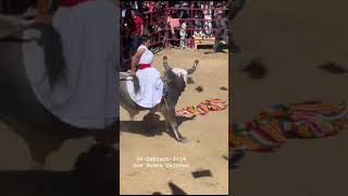 traditions in oaxaca mexico [upl. by Chader883]