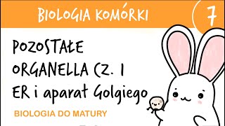 Cytologia 7  Pozostałe organella cz1 ER i aparat Golgiego  biologia rozszerzona matura liceum [upl. by Connelley]