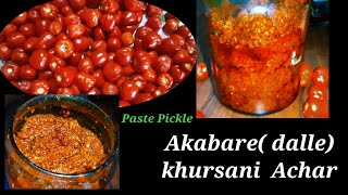 Akabare khursani ko piro Achar  dalle khursaniko paste Pickle Pickle Recipegharelu kitchen [upl. by Suiddaht868]