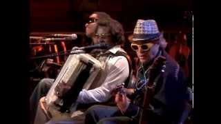 Ry Cooder The Concert for New Orleans [upl. by Sparkie]