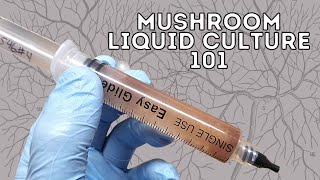 HOW TO MAKE LIQUID CULTURE FOR MUSHROOM GROWING Vented Lid Jars from Start to Finish [upl. by Rab]