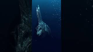 Dive into Prehistoric Oceans Ichthyosaurs Uncovered [upl. by Alegnad]