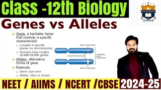 Gene vs Allele difference  Difference between Genes and Allele class 12 Biology  NEET [upl. by Stanislaw945]