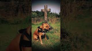 Bridgnorth Cemetery [upl. by Otrebile587]